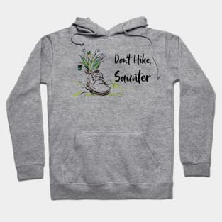 Don't Hike Saunter Hoodie